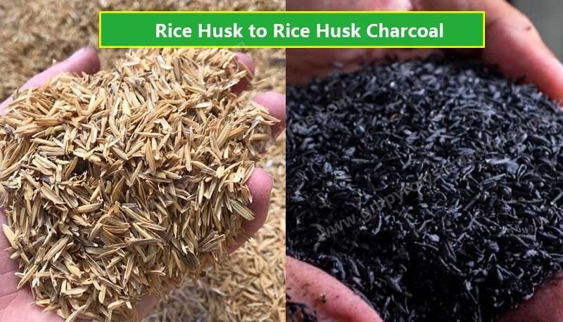 rice husk charcoal