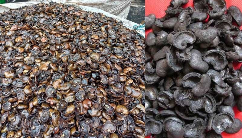 Cashew Shell Carbon