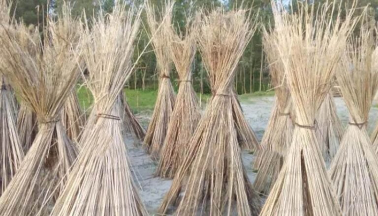 jute stick