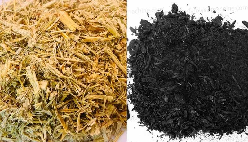 Bagasse and Sugarcane Carbon