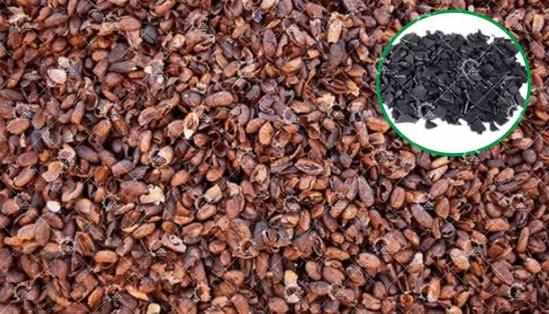 Coffee Bean Shell