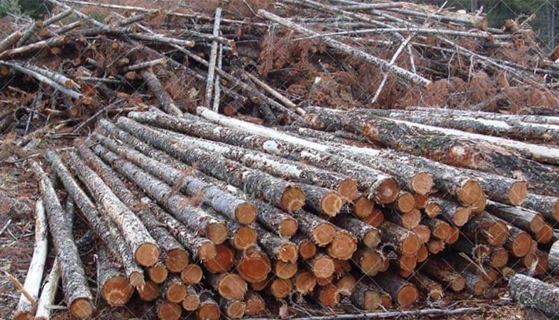 forestry waste
