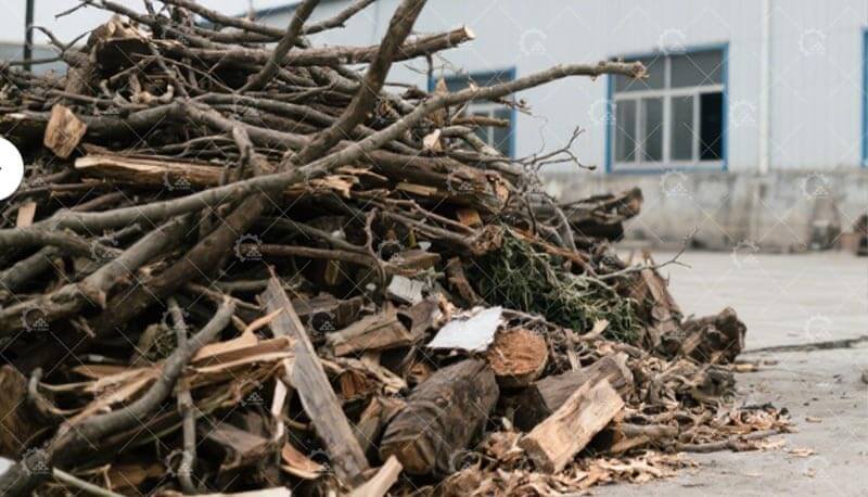 biomass waste