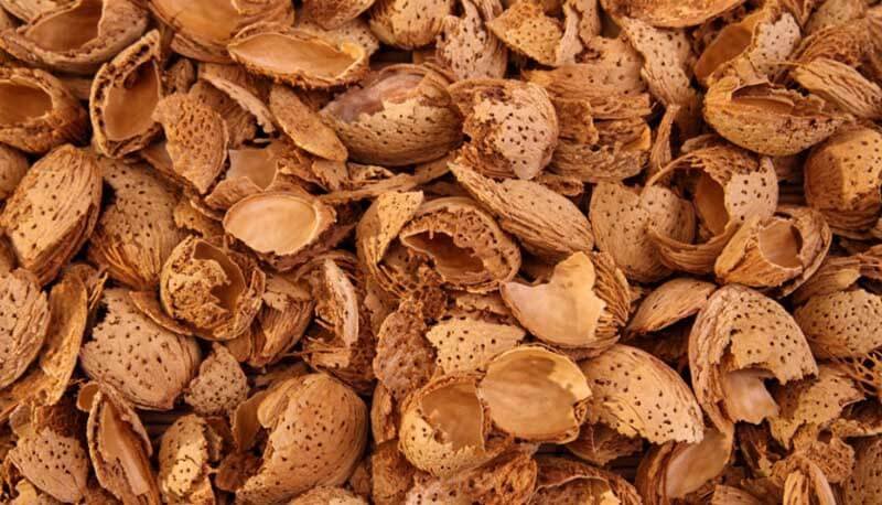Almond Shells
