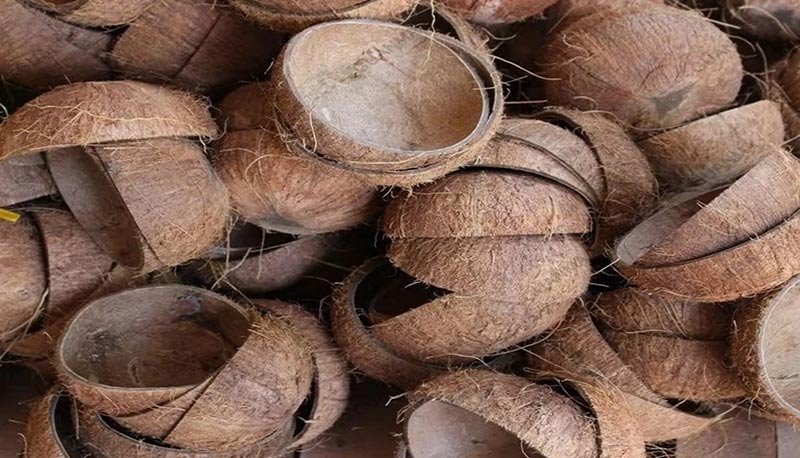 Coconut Shell