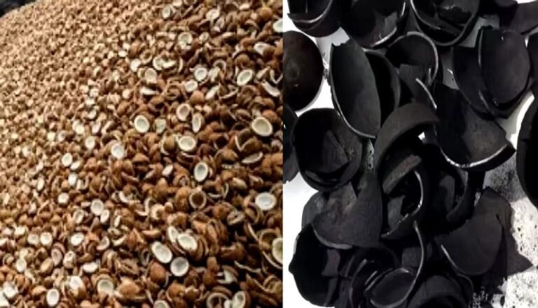 Coconut Shell-Carbonized Coconut Shell