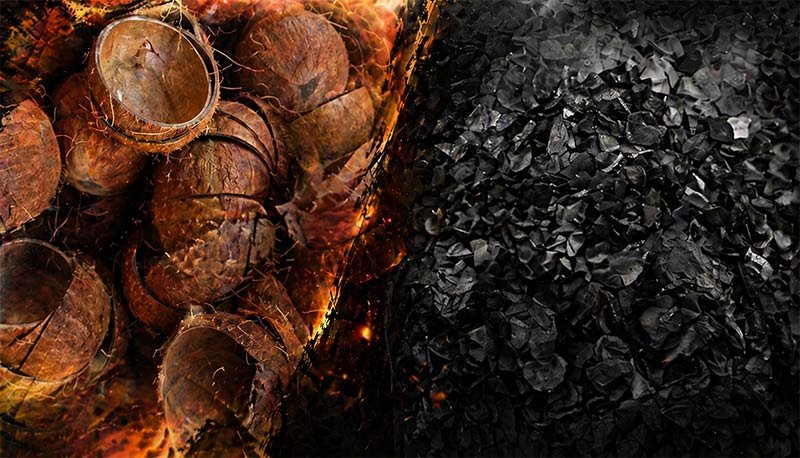 Coconut Shell and Carbonized Coconut Shell
